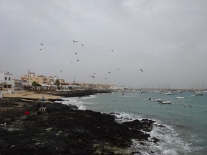 011_0142 Fuerteventura 