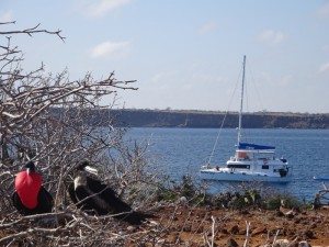 083 0085 Ecuador - Galapagos - Boattrip - Isla Seymour