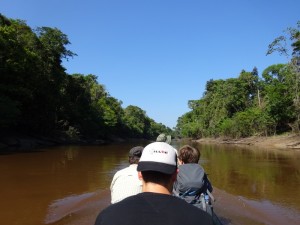 100 0053 Peru - Iquitos - Jungle