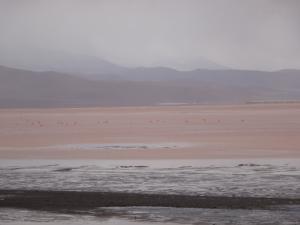 112 0051 Chile - Atacama Tour - Laguna Colorada